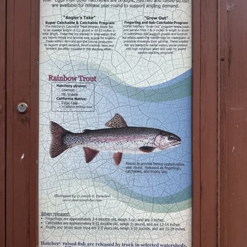Fillmore Fish Hatchery - Wildlife Control Near Me - Fillmore, California Fillmore Fish Hatchery - Wildlife Control Near Me - Fillmore, California
