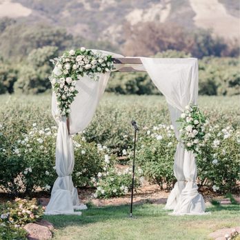 Yamaguchi Nursery - Photos: Figlewicz Photography - Florists Near Me - Santa Paula, California Yamaguchi Nursery - Photos: Figlewicz Photography - Florists Near Me - Santa Paula, California