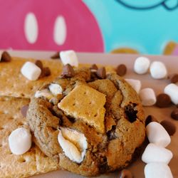 Let It Be Ice Cream - S'mores cookies