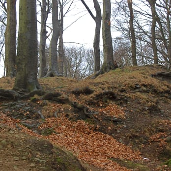 Der Kellerkopf - alte Wallreste - Landmarks & Historical Buildings Near Me