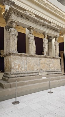 Carnegie Museum of Natural History by null