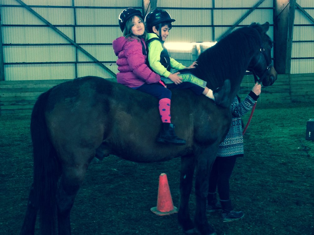 Hardwood Creek Farm - equestrian in Hugo, MN