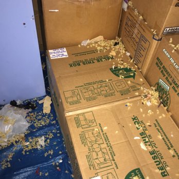 Linden Park Storage - Mouse or Rat Feces/Urine, Gnawing damage - Self Storage Near Me - Puyallup, Washington Linden Park Storage - Mouse or Rat Feces/Urine, Gnawing damage - Self Storage Near Me - Puyallup, Washington