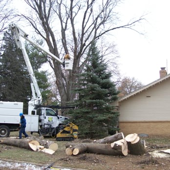American Arborist - Removing some limbs that were hanging out over the house. - Tree Services Near Me - Omaha, Nebraska American Arborist - Removing some limbs that were hanging out over the house. - Tree Services Near Me - Omaha, Nebraska