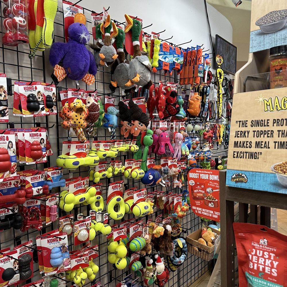 City Dog - Pet Stores Near Me - San Diego, California