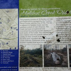 Hylebos Nature Area - Info sign