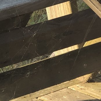 Beach Realty & Construction & Kitty Hawk Rentals - Spider webs on deck - General Contractors Near Me - Kitty Hawk, North Carolina