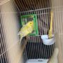 Photo of Promenade Animal Hospital