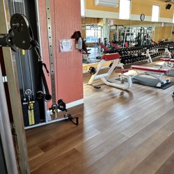 Toadal Fitness II
