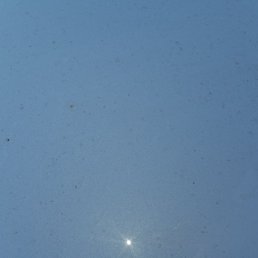 Before polish and wax: hard water spots and tree pollen