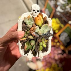 Trader Joe's - Skull planter