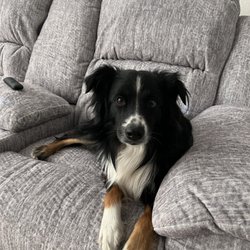 Carey's Furniture - Approved