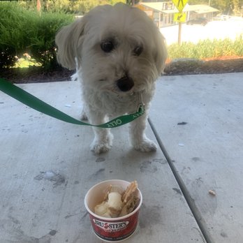 Bruster's Real Ice Cream - Ice Cream & Frozen Yogurt Near Me - Aptos, California Bruster's Real Ice Cream - Ice Cream & Frozen Yogurt Near Me - Aptos, California