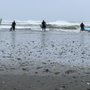 Photo of Surf Shop