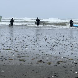 Surf Shop in Westport gift card