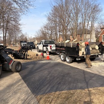 BLC Tree Services and Landscaping - Tree Services Near Me BLC Tree Services and Landscaping - Tree Services Near Me