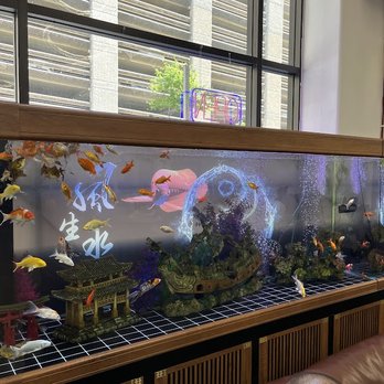 Honolulu Seafood Restaurant - Dim Sum Near Me - Urban Honolulu, Hawaii Honolulu Seafood Restaurant - Dim Sum Near Me - Urban Honolulu, Hawaii