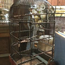 Hudson Supermarket - Bird cage from 1800s