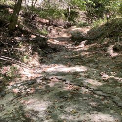 Binder Park - Waterfall