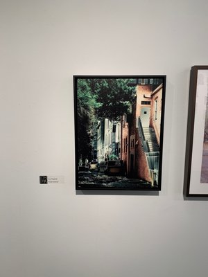 The Florida Museum of Photographic Arts by null