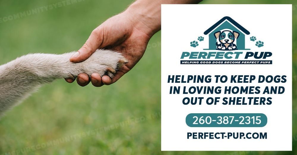 Perfect Pup - pet boarding facility in Fort Wayne, IN