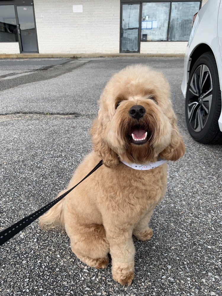 HAPPY TAILS 13 Reviews Bethany Ctr 40 Ste, Ellicott City, Maryland