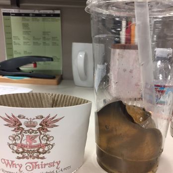 Why Thirsty - Huge chunk of jelly in my tea. Please don't bother cutting it into bite-sized chunks! - Taiwanese Near Me - San Gabriel, California Why Thirsty - Huge chunk of jelly in my tea. Please don't bother cutting it into bite-sized chunks! - Taiwanese Near Me - San Gabriel, California