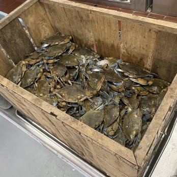 HL Asian Market - Blue crabs - International Grocery Near Me - Sarasota, Florida HL Asian Market - Blue crabs - International Grocery Near Me - Sarasota, Florida