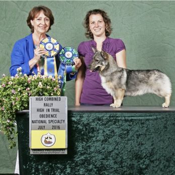 K9 Junction - Pet Groomers Near Me - Davis Junction, Illinois K9 Junction - Pet Groomers Near Me - Davis Junction, Illinois