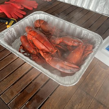 Get Maine Lobster - Fresh from the steamer pot - Seafood Markets Near Me - Portland, Maine