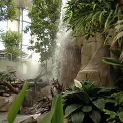 Parc Zoologique de Montpellier - Le Parc du Lunaret Cascade Montpellier