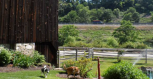 The Kennel - pet boarding facility in Sewickley, PA