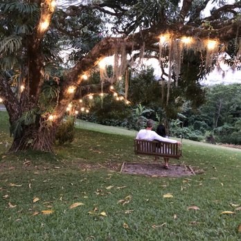 Experience Nutridge - Performing Arts Near Me - Honolulu, Hawaii
