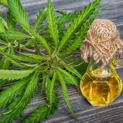 ReConnective Mobile Massage & Holistics - Cannabis Massage Oil