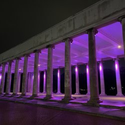 City Park  - Misty night at City Park