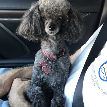 Arbor Hills Veterinary - Veterinarians Near Me - Plano, Texas Arbor Hills Veterinary - Veterinarians Near Me - Plano, Texas