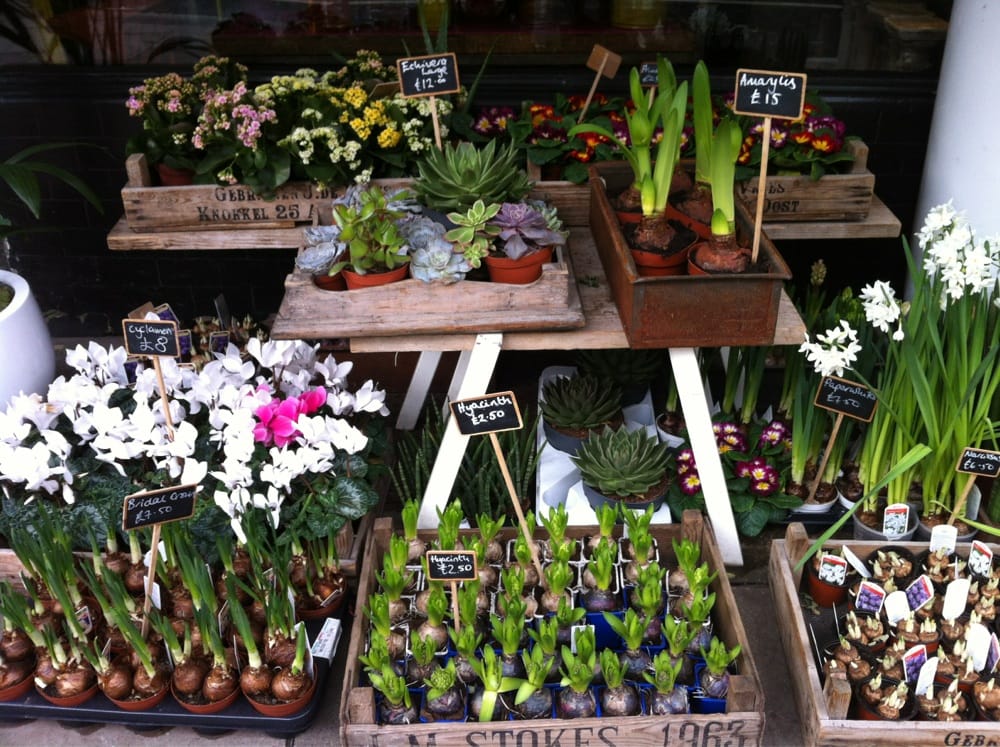 ABSOLUTE FLOWERS & HOME - Updated January 2026 - 14 Clifton Road ...