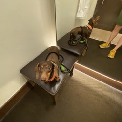 Brenda gave me a treat!