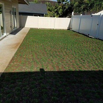 Affordable General Services - Included sprinkler system to make sure our grass is always watered. - Tree Services Near Me - Honolulu, Hawaii Affordable General Services - Included sprinkler system to make sure our grass is always watered. - Tree Services Near Me - Honolulu, Hawaii