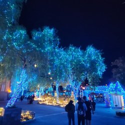 Holiday In The Park
