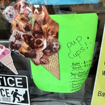S & I Ice Cream - Pup Cups! - Ice Cream & Frozen Yogurt Near Me - Concord, North Carolina S & I Ice Cream - Pup Cups! - Ice Cream & Frozen Yogurt Near Me - Concord, North Carolina