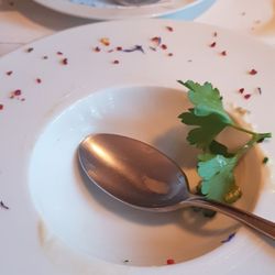 Restaurant Linde - So gut, dass ich nur noch den leeren Teller zeigen kann