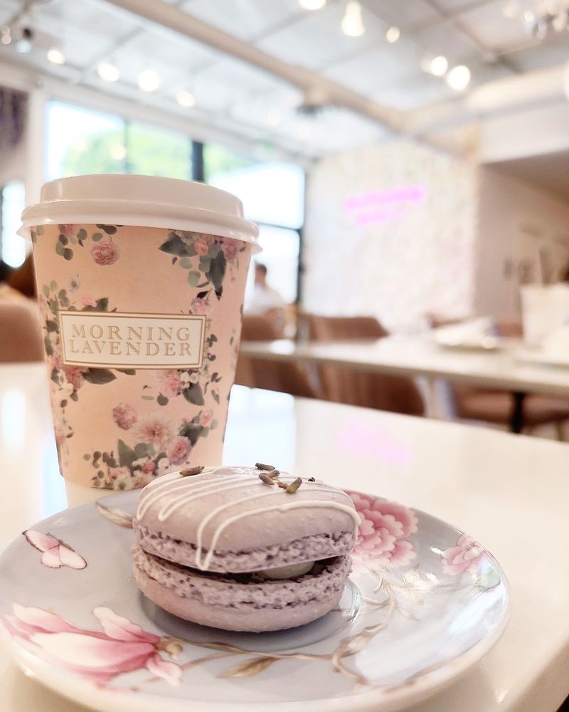 Morning Lavender Cafe