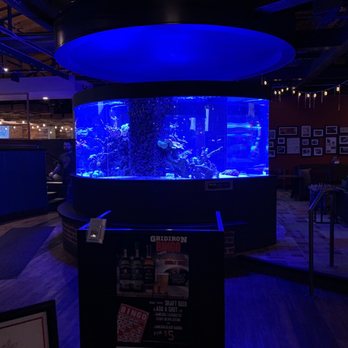Cherry Cricket - Downtown - Fish tank - Sports Bars Near Me - Denver, Colorado Cherry Cricket - Downtown - Fish tank - Sports Bars Near Me - Denver, Colorado