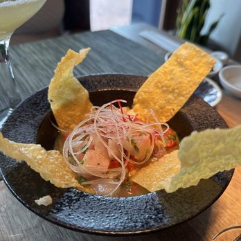 Sushi Hachi - Snapper Miso Ceviche - Sushi Bars Near Me - Washington, DC, District of Columbia Sushi Hachi - Snapper Miso Ceviche - Sushi Bars Near Me - Washington, DC, District of Columbia