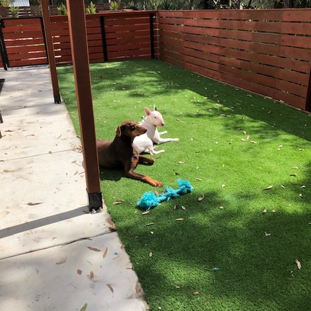 Smart Landscape - The pups enjoying the dog run! - Landscaping Near Me - San Diego, California Smart Landscape - The pups enjoying the dog run! - Landscaping Near Me - San Diego, California