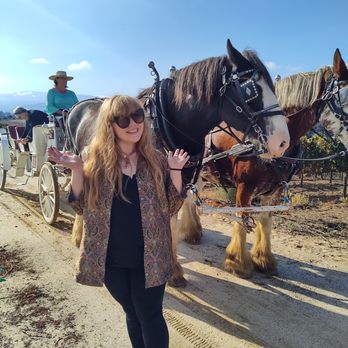 Temecula Carriage Company - Having fun in the Vineyard, girls weekend - Wine Tours Near Me - Temecula, California