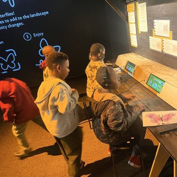 Peggy Notebaert Nature Museum - Interactive exhibit - Museums Near Me - Chicago, Illinois Peggy Notebaert Nature Museum - Interactive exhibit - Museums Near Me - Chicago, Illinois