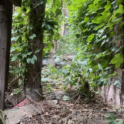 Trash and Treasures - Cleanout more than just junk