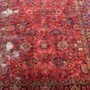 Photo of Oriental Carpet & Upholstery Cleaners